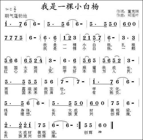 我是一棵小白杨