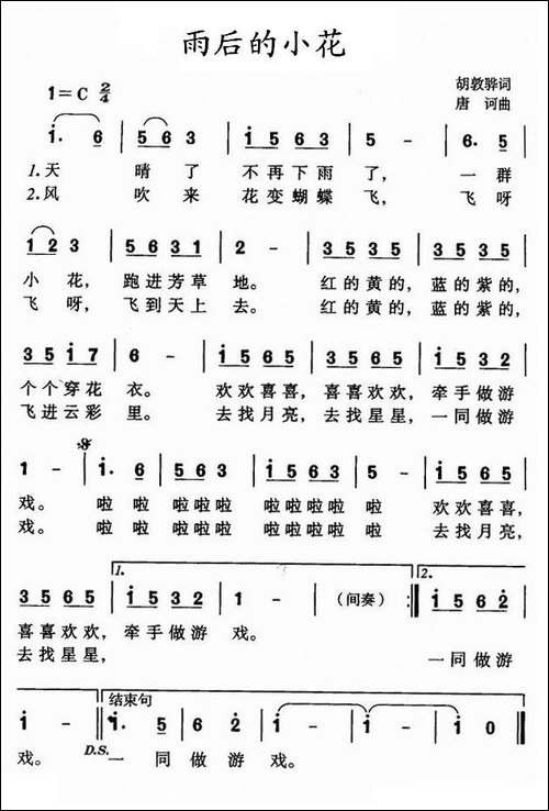 雨后的小花