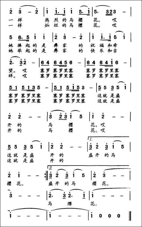 盛开的马樱花