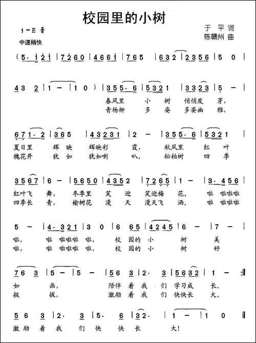 校园里的小树