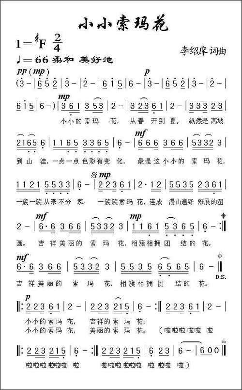 小小索玛花