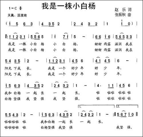 我是一株小白杨