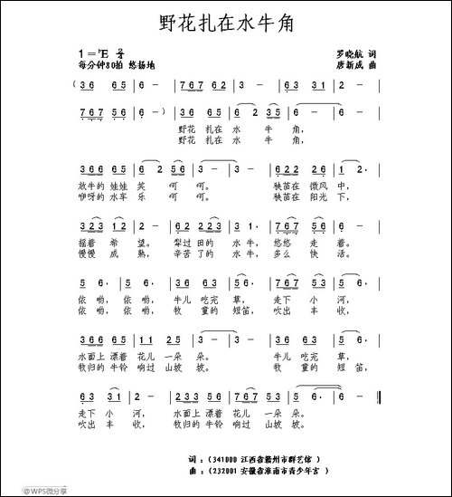 野花扎在水牛角