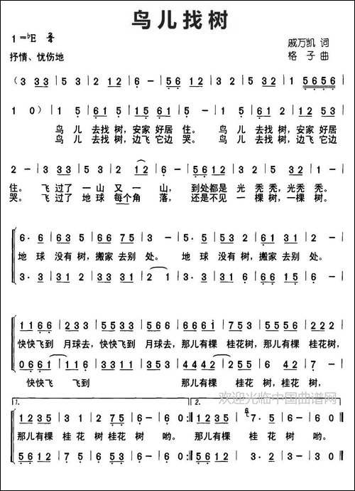 鸟儿找树-合唱