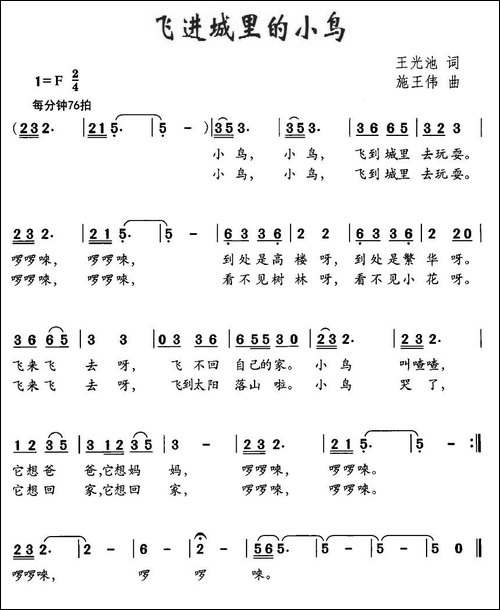 飞进城里的小鸟