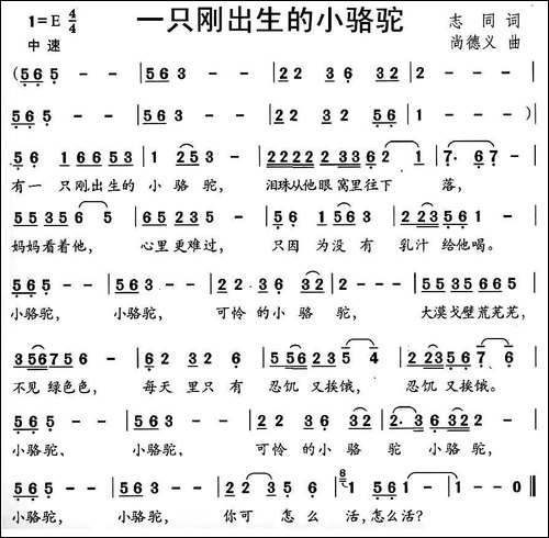 一只刚出生的小骆驼