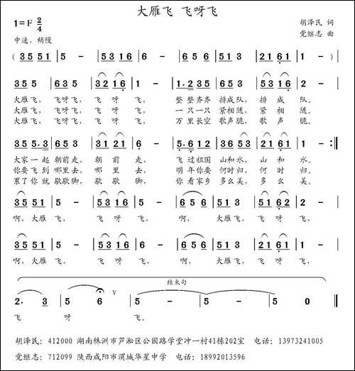 大雁飞-飞呀飞