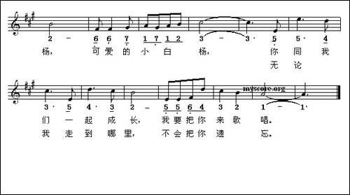 可爱的小白杨-线简谱混排版