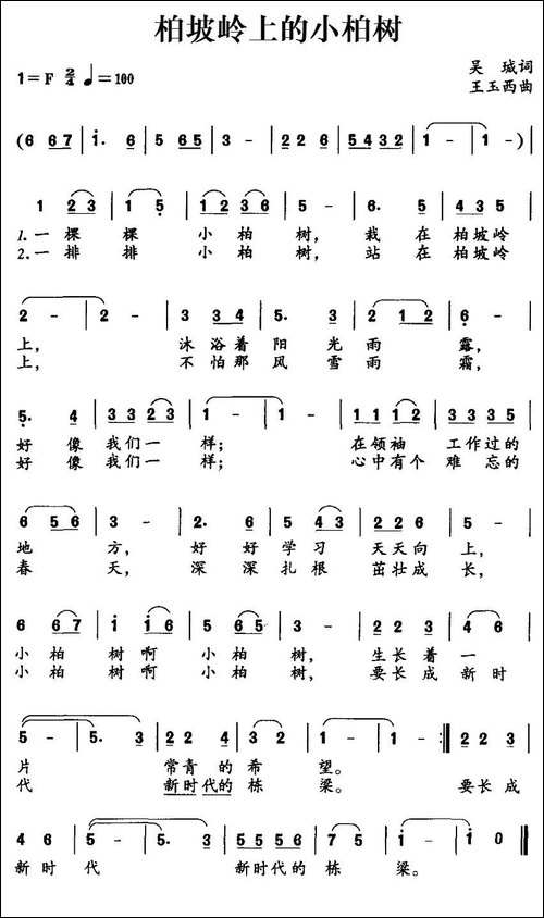 柏坡岭上的小柏树
