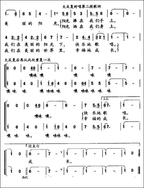 美丽阳光