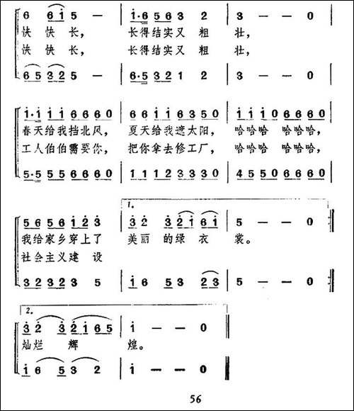 家乡穿上绿衣裳