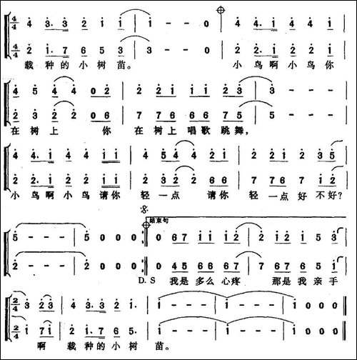 一只小鸟-张俊以词-孟适曲、二重唱