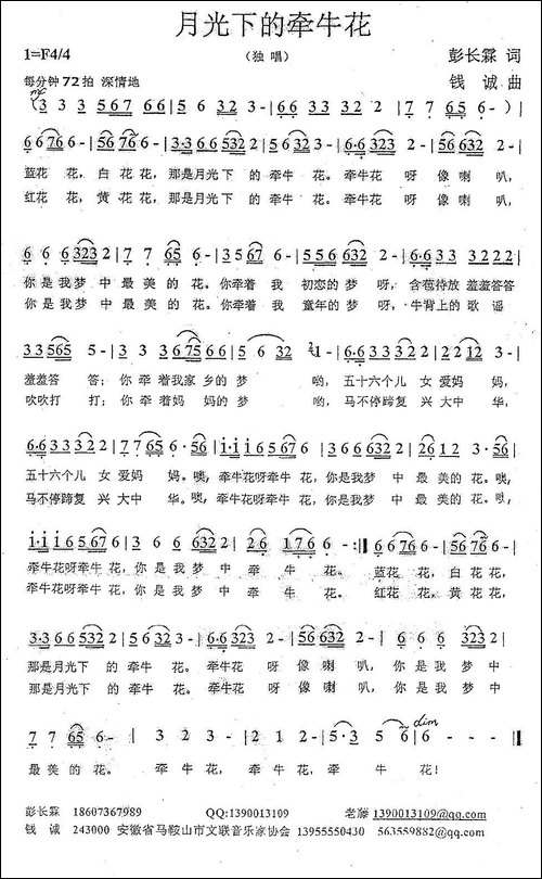 月光下的牵牛花