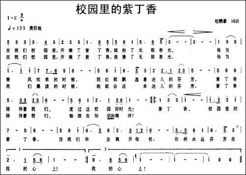 校园里的紫丁香
