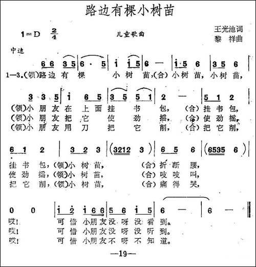 路边有棵小树苗