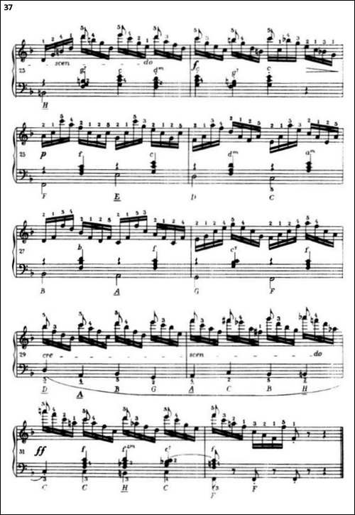 《车尔尼手风琴练习曲集》-第三册-P26—51-手风琴谱