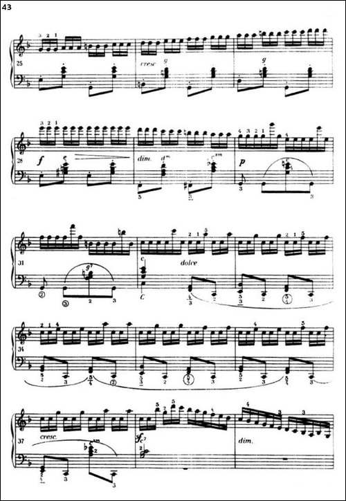 《车尔尼手风琴练习曲集》-第三册-P26—51-手风琴谱
