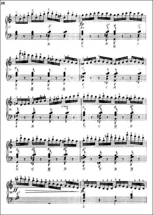 《车尔尼手风琴练习曲集》-第三册-P26—51-手风琴谱
