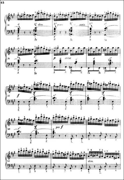 《车尔尼手风琴练习曲集》-第三册-P52—74-手风琴谱