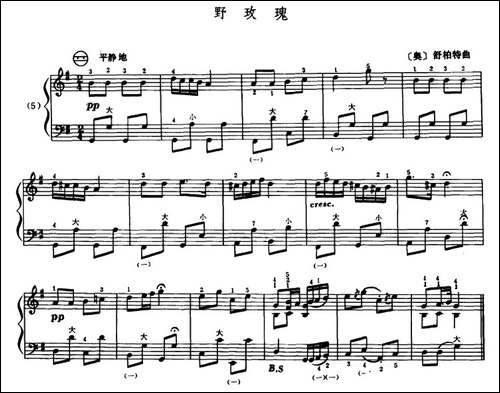 野玫瑰-手风琴谱