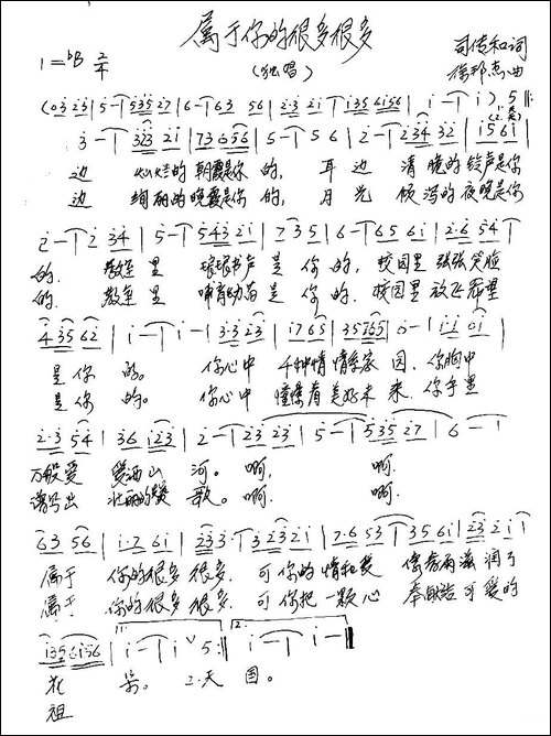 属于你的很多很多-司传和词-徐邦杰曲-手稿谱