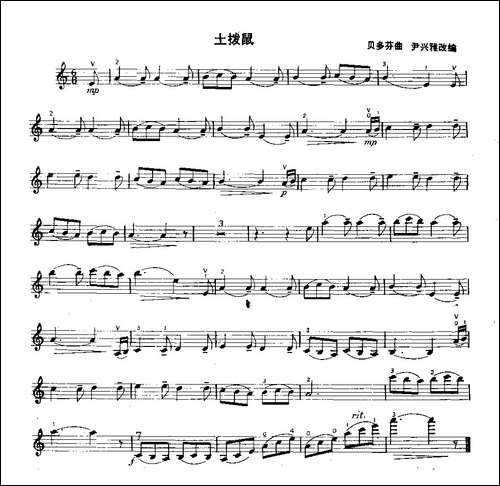 土拨鼠-提琴谱