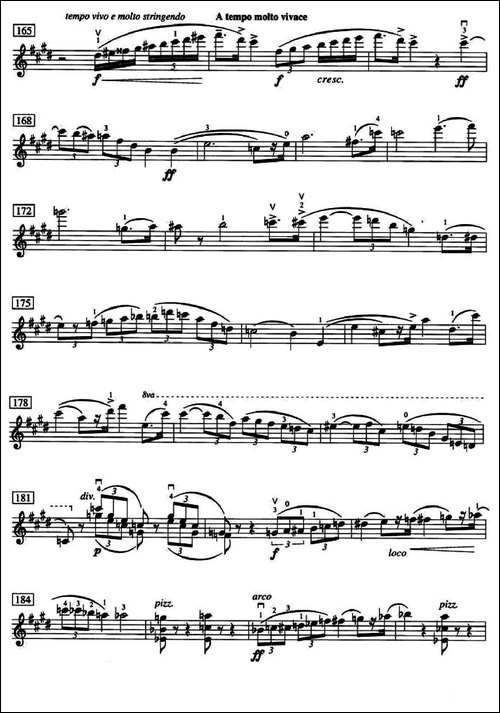 Don-Juan-Op.20-管弦乐选录·ARCT级-提琴谱