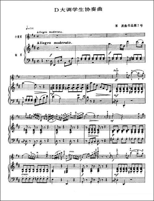 D大调学生协奏曲-塞茨作品第7号-提琴谱