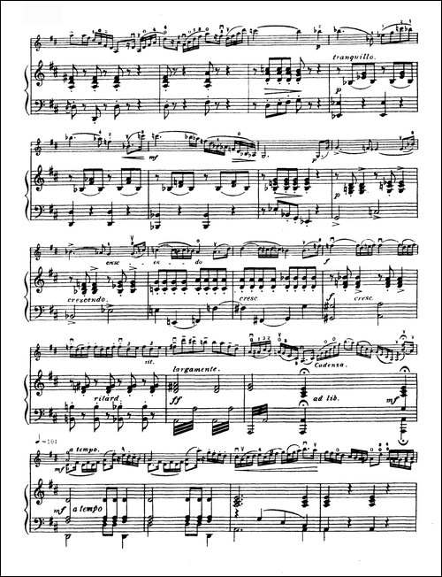 D大调学生协奏曲-塞茨作品第7号-提琴谱