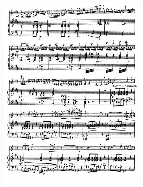 D大调学生协奏曲-塞茨作品第7号-提琴谱