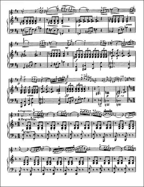 D大调学生协奏曲-塞茨作品第7号-提琴谱