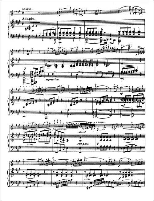 D大调学生协奏曲-塞茨作品第7号-提琴谱