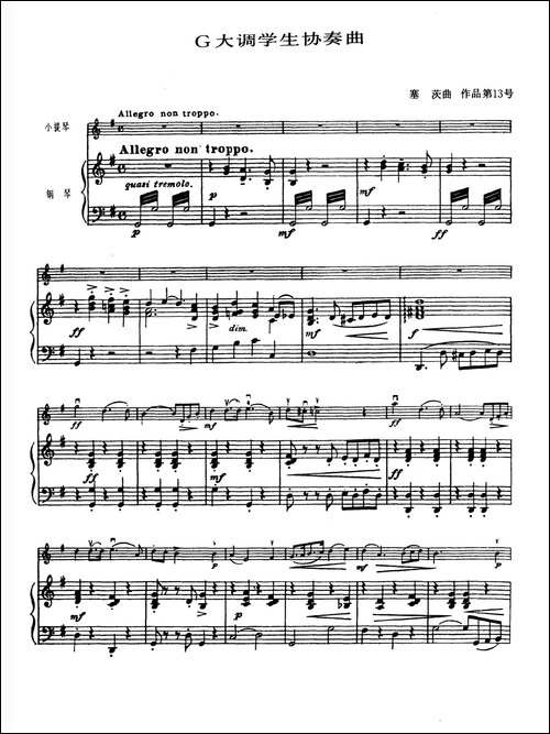 G大调学生协奏曲-塞茨作品第13号-提琴谱