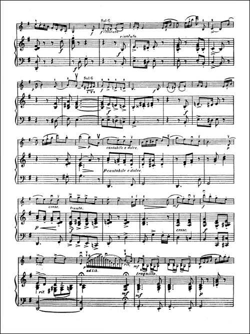 g小调学生协奏曲-塞茨作品第12号-提琴谱