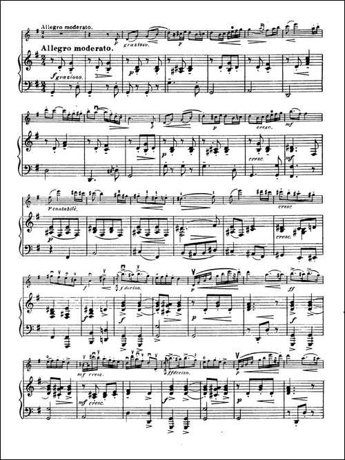 g小调学生协奏曲-塞茨作品第12号-提琴谱