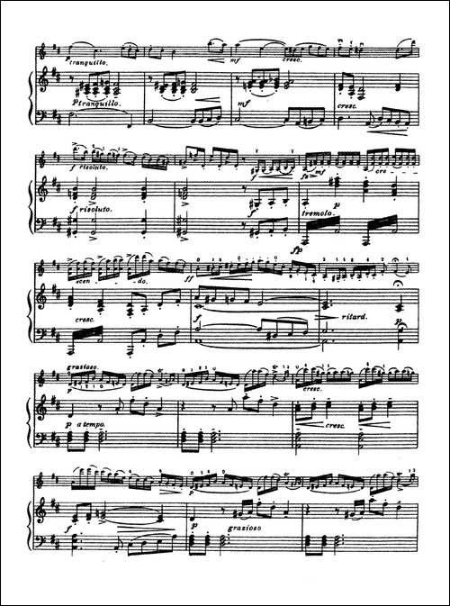 D大调学生协奏曲-塞茨作品第15号-提琴谱