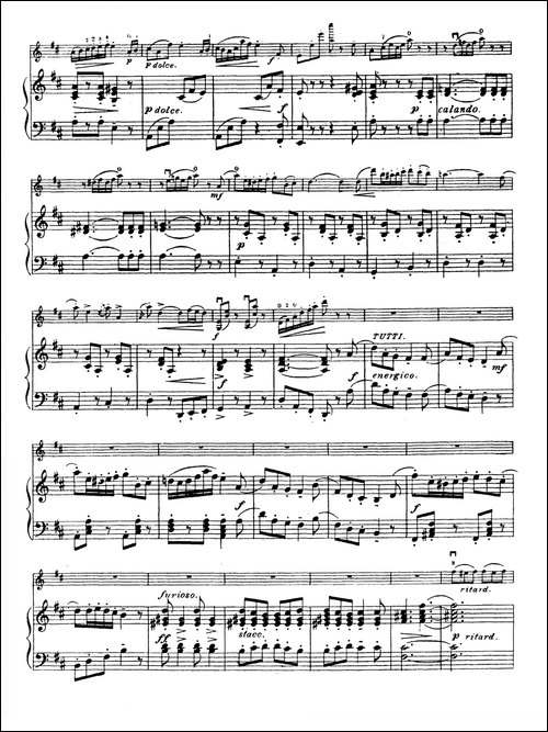 D大调学生协奏曲-塞茨作品第15号-提琴谱