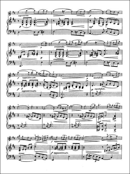 D大调学生协奏曲-塞茨作品第15号-提琴谱