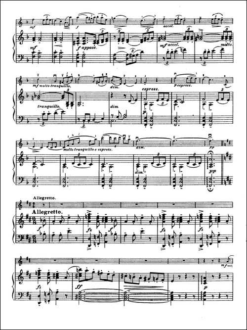 D大调学生协奏曲-塞茨作品第15号-提琴谱