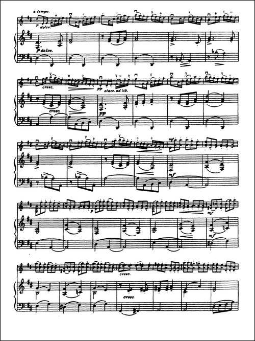 D大调学生协奏曲-塞茨作品第14号-提琴谱