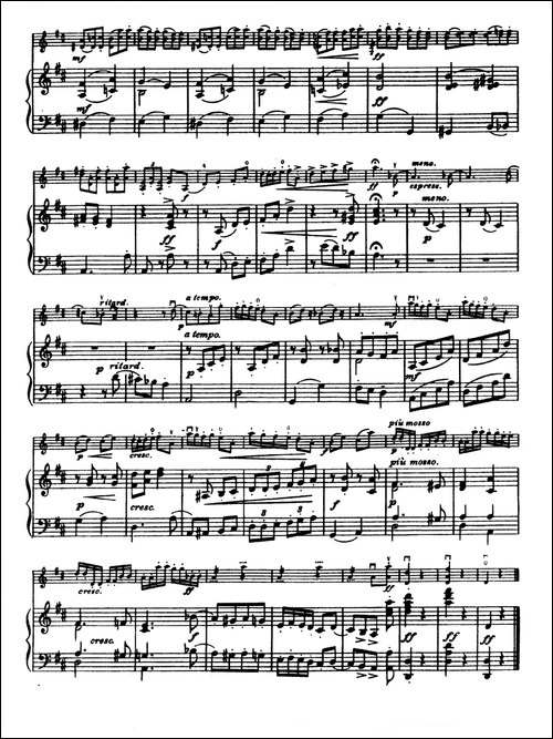 D大调学生协奏曲-塞茨作品第14号-提琴谱