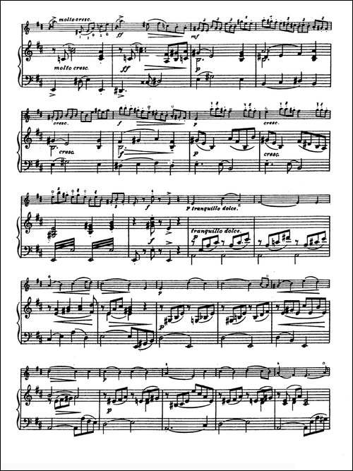 D大调学生协奏曲-塞茨作品第14号-提琴谱