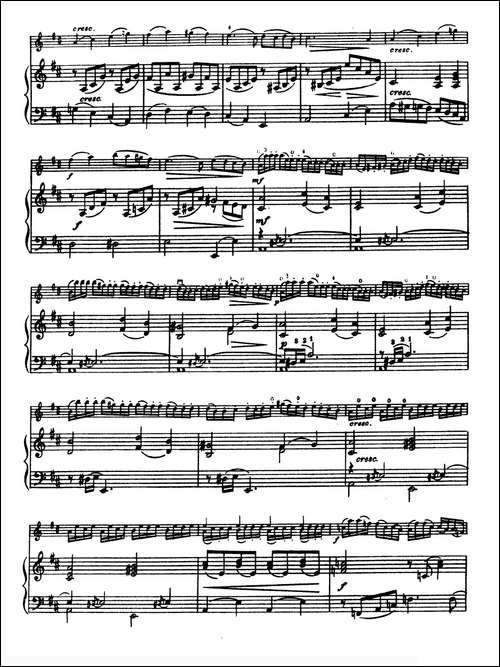 D大调学生协奏曲-塞茨作品第14号-提琴谱