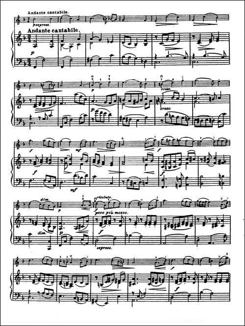 D大调学生协奏曲-塞茨作品第14号-提琴谱
