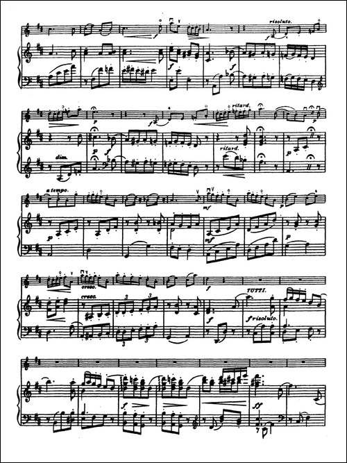 D大调学生协奏曲-塞茨作品第14号-提琴谱