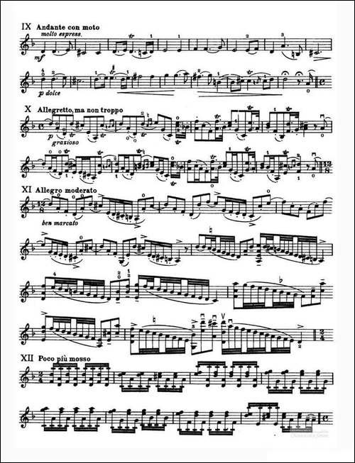 Sonata-in-D-minor-D小调奏鸣曲