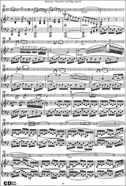 Violin-Sonata-No.5-in-F-Major-Op.24-小提琴+钢琴伴奏-提琴谱