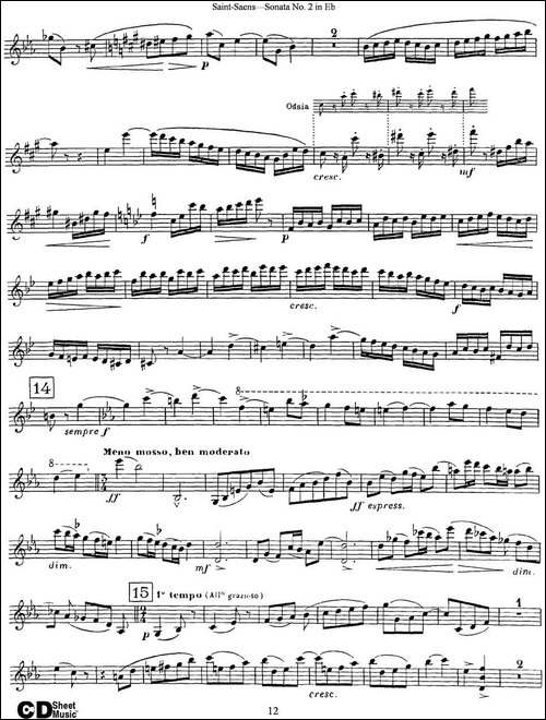 Violin-Sonata-No.2-in-Eb-Major-Op.102-提琴谱