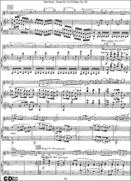 Violin-Sonata-No.2-in-Eb-Major-Op.102-小提琴+钢琴伴奏-提琴谱