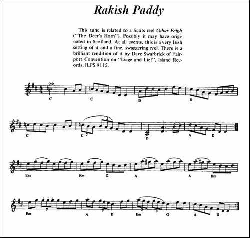 Rakish-Paddy-爱尔兰民歌-提琴谱